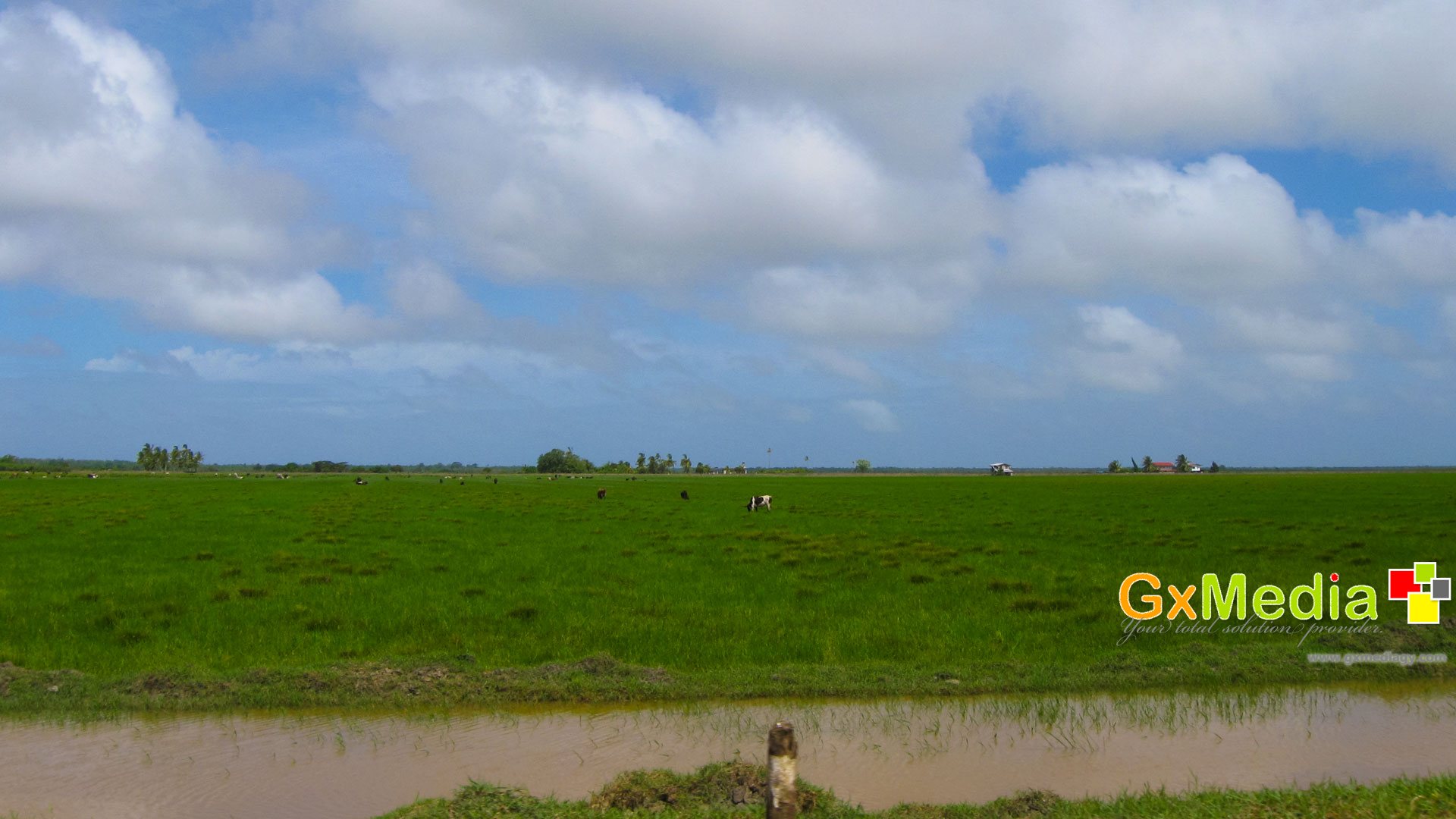 Berbice, New Amsterdam